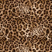 Tafelzeil panter