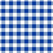 tafelzeil grote ruit blauw