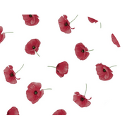 Ovaal tafelzeil papavers