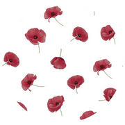 Rond tafelzeil papavers (140cm)