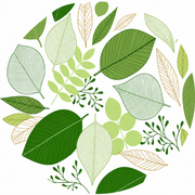 Rond tafelzeil New Leafs green (ca. 140 cm)