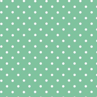 Plakfolie stippen mint 45x200cm