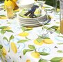 Tafelzeil lemon &amp; lime  