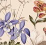 Tafelzeil Vlinder Botanica