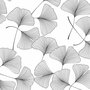 Wasbaar gecoat tafelzeil Ginko wit