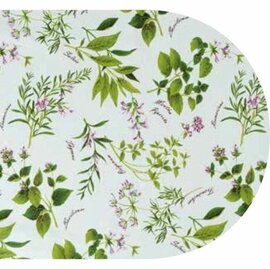 Ovaal doorzichtig tafelzeil kruidenplant