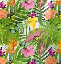 Tafelzeil tropische vlinder soorten