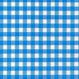 Mexicaans tafelzeil ruitjes blauw