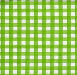 35x120cm Restje Mexicaans tafelzeil ruitjes lichtgroen
