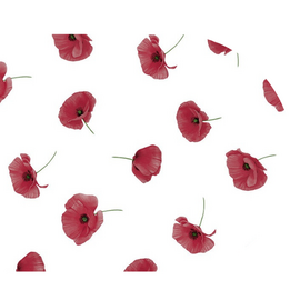 Ovaal tafelzeil papavers