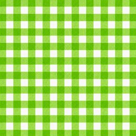 Mexicaans tafelzeil ruitjes lichtgroen