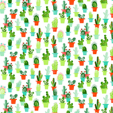 Tafelzeil cactussen met bloemen