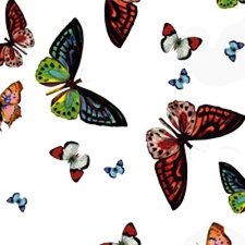 50x140cm Restje doorzichtig tafelzeil vlinders