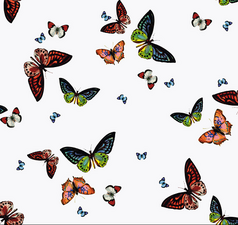 Doorzichtig tafelzeil vlinders