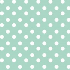 Tafelzeil stippen mint