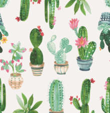 Tafelzeil cactus 