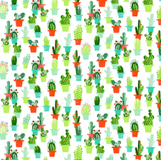 Tafelzeil cactussen met bloemen