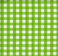 150x120cm Restje Mexicaans tafelzeil ruitjes lichtgroen