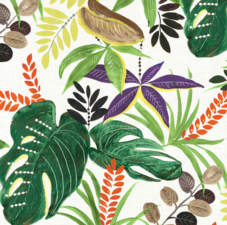 Tafelzeil tropische planten